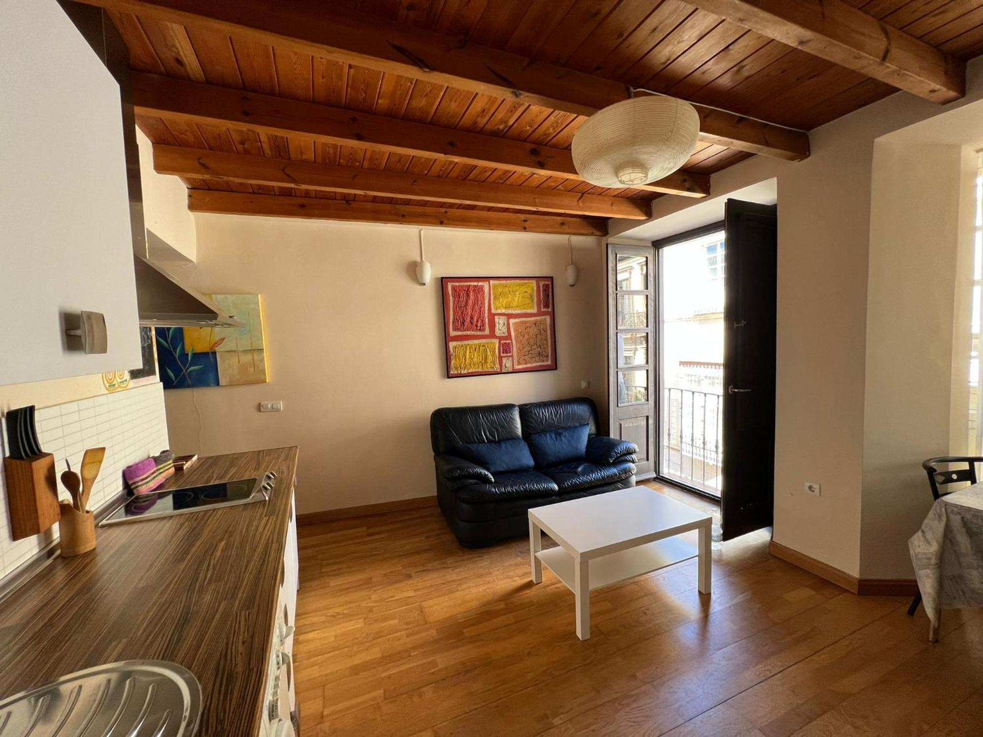 Malaga Centre Wood & Light Apartman Kültér fotó